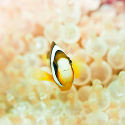 Similar image 730244