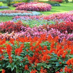 Similar image 730293