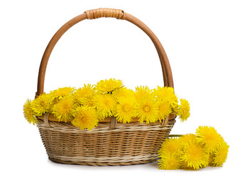 Similar image 730392