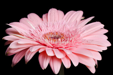 Similar image 730394