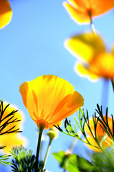 Similar image 730451