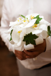 Similar image 730464