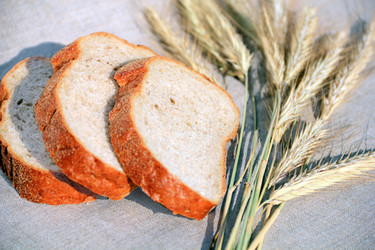 Similar image 730488