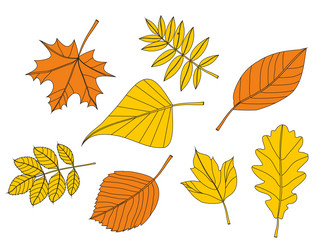 Similar image 730586