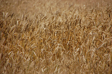 Similar image 730600