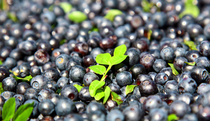 Similar image 730647