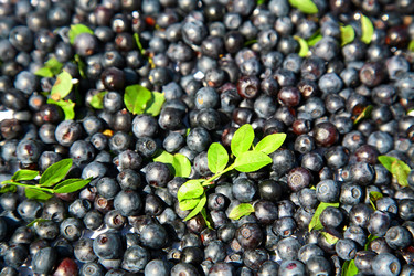 Similar image 730648