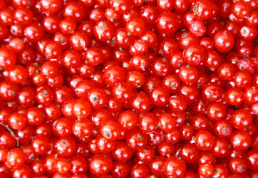 Similar image 730651