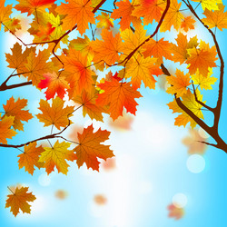 Similar image 730657