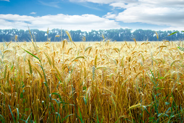 Similar image 730703