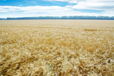 Similar image 730704