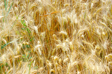 Similar image 730708