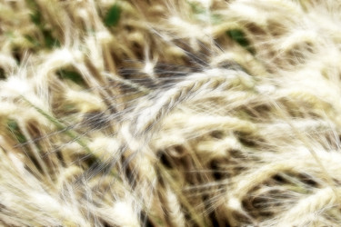 Similar image 730710