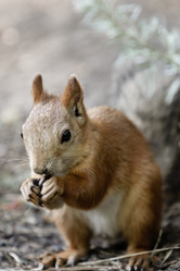 Similar image 730730