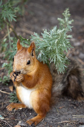 Similar image 730732