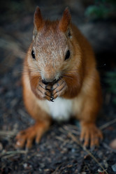 Similar image 730734