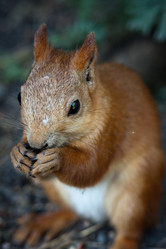 Similar image 730735