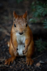 Similar image 730736