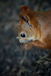 Similar image 730738