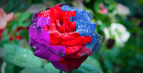 Similar image 730741