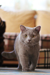 Similar image 730759