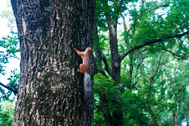 Similar image 730780