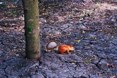 Similar image 730782