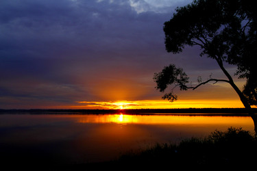 Similar image 730793