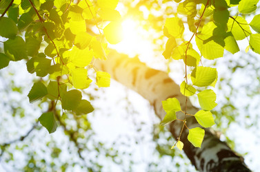 Similar image 730794