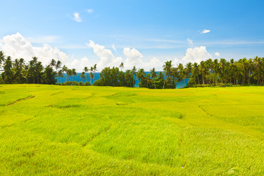 Similar image 730844