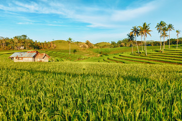 Similar image 730845