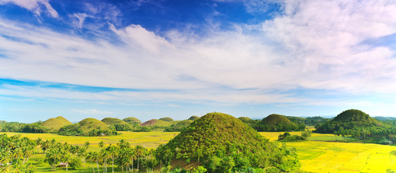 Similar image 730848