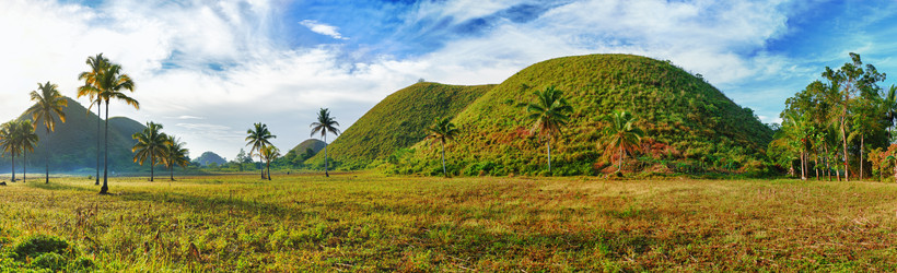 Similar image 730851