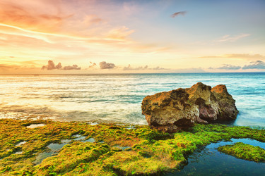 Similar image 730855