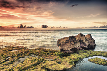 Similar image 730857