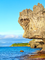 Similar image 730897