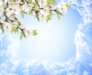 Similar image 730903