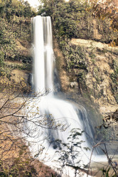 Similar image 730907