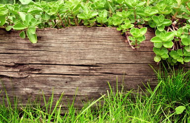 Similar image 730920