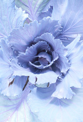 Similar image 730955