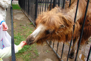 Similar image 730968