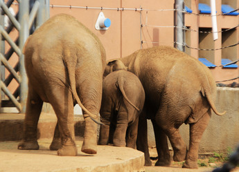 Similar image 730990