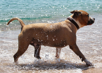 Similar image 730992