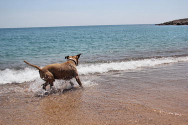 Similar image 730995