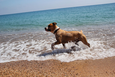 Similar image 730997