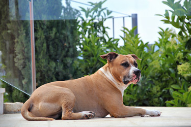 Similar image 730998