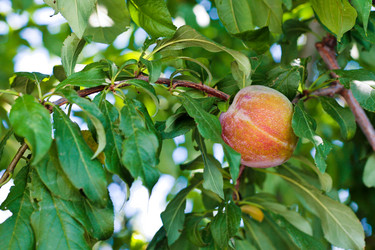 Similar image 731002