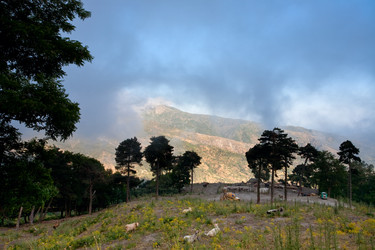 Similar image 731057