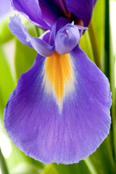 Similar image 731062