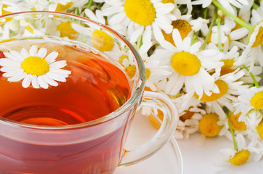 Similar image 731069